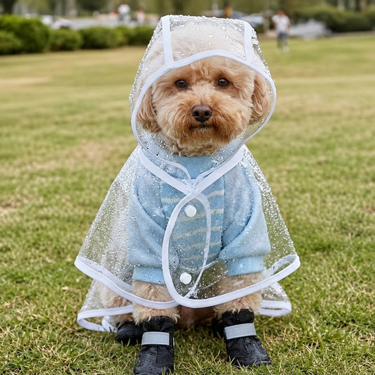 Chubasquero Para Perro
